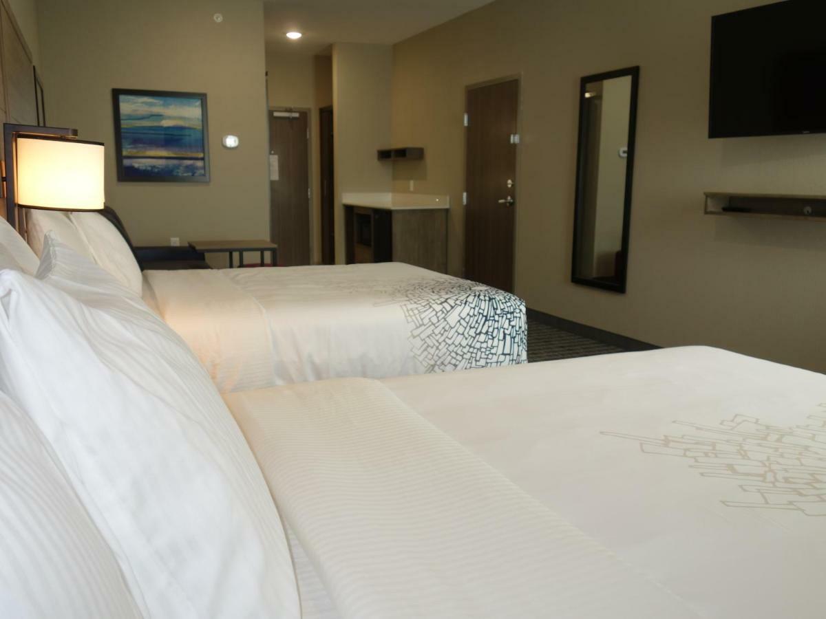 La Quinta By Wyndham San Antonio Alamo City Esterno foto